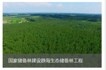 国家储备林建设静海生态储备林工程