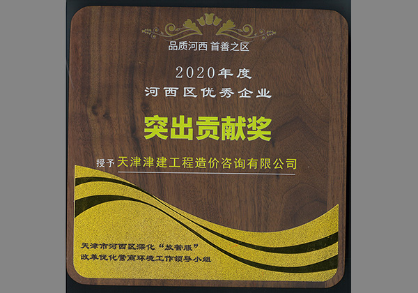 2020年度突出贡献奖