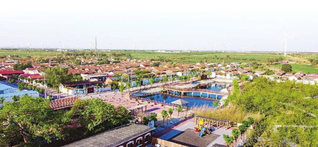 天津市滨海新区小王庄镇南和顺21.6万头生猪育肥项目社会稳定性风险评估咨询