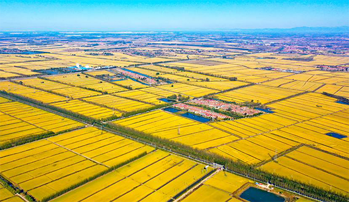 宝坻区高标准农田建设项目检查验收及绩效评价